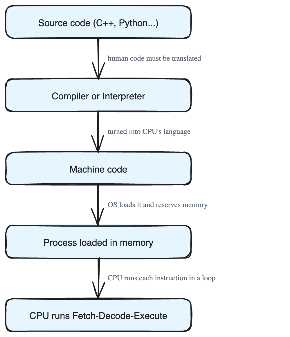 How a Program Lives in Memory: From Source Code to Running Process